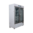 Elanpro Visi Freezer Double Door 1100 Ltr thumbnail 2