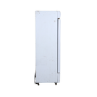 Western Visi Freezer Single door 500ltr thumbnail 2