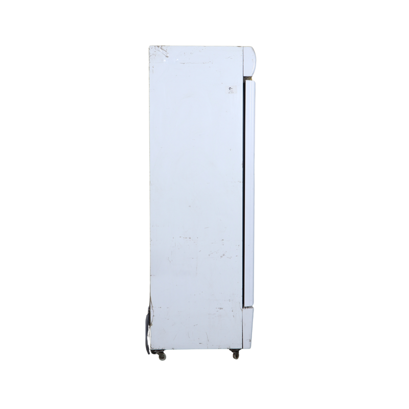Western Visi Freezer Single door 500ltr