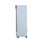 Elanpro Visi Freezer Double Door 1100 Ltr thumbnail 5